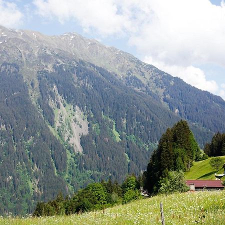 Alpenapart Montafon - Bitschweil Huesle Villa Schruns Eksteriør billede