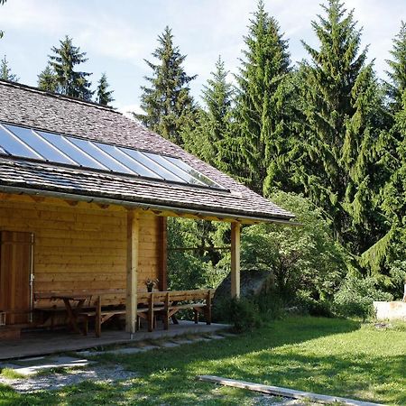 Alpenapart Montafon - Bitschweil Huesle Villa Schruns Eksteriør billede